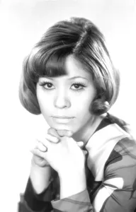 森本和子のプロマイド